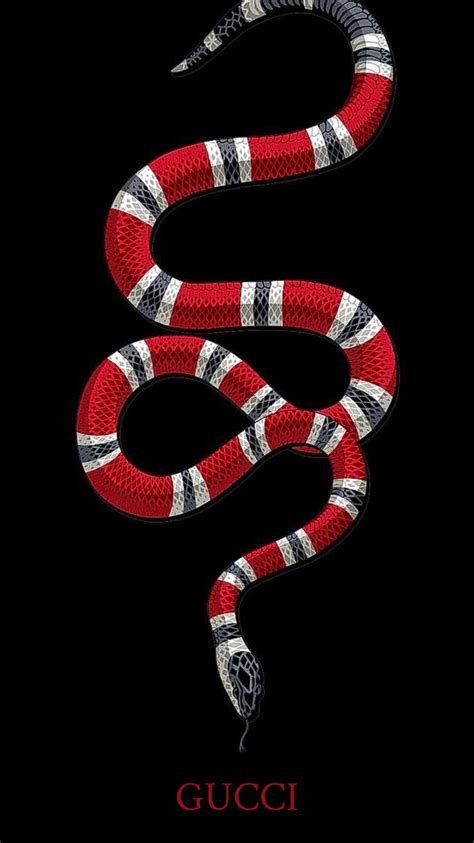 Gucci snake collection